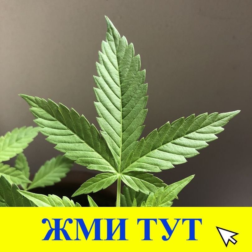 Купить наркотики в Усть-Катаве